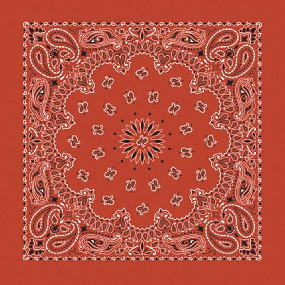 Made in the USA - Terra Cotta Paisley Bandana