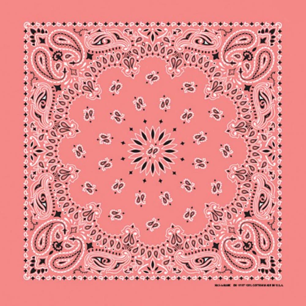 Made in the USA - Strawberry Paisley Bandana